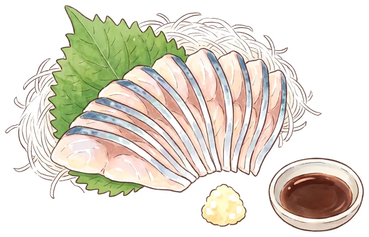大葉としょうがを添えたアジの刺身のイラスト