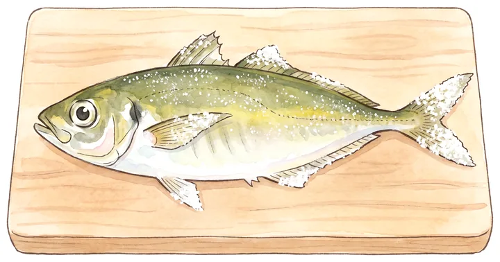 尾とヒレに白く塩をまぶした焼く前のアジのイラスト
